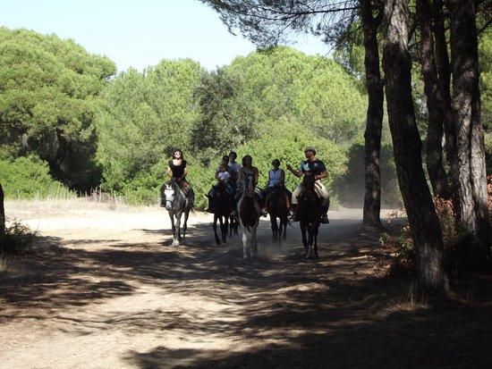 Donana a Caballo