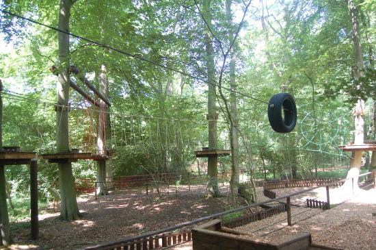Tree Ninja Ltd