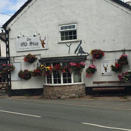 The Old Stag