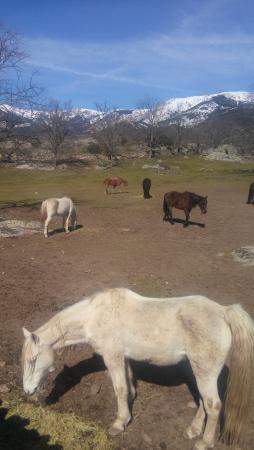 El Valle de Inaki