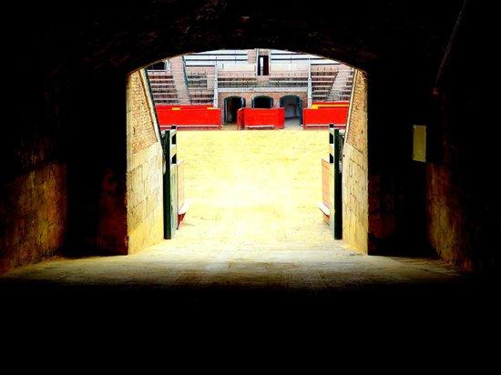 Paintball Arena