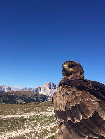 Il Regno Di Thor