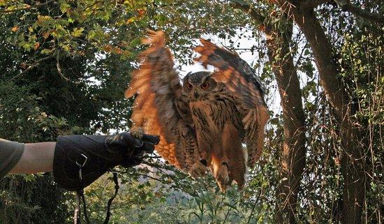 Messinia Wild Experience