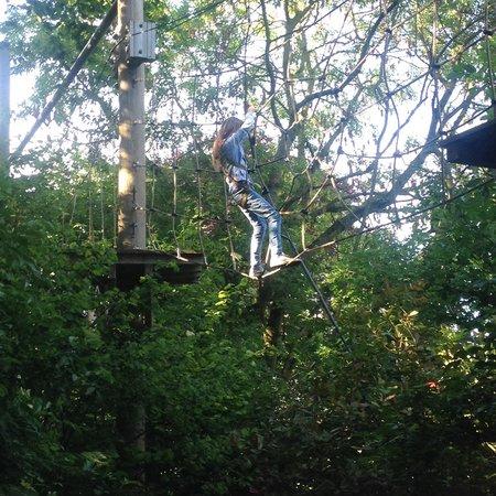 Treetop Challenge