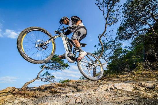 Dorset CycleLife