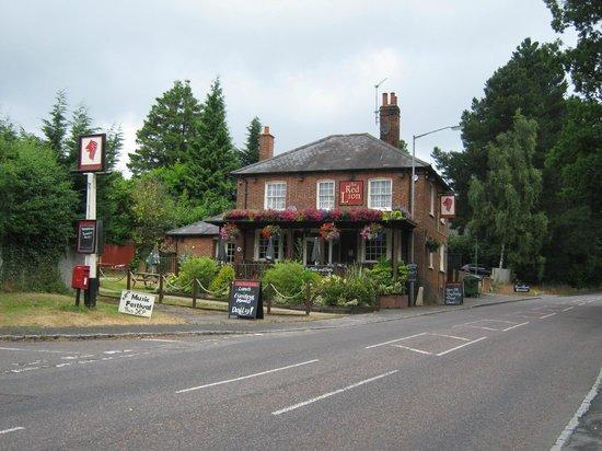 The Red Lion Knotty Green