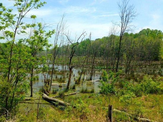 Dahlgren Railroad Heritage Trail