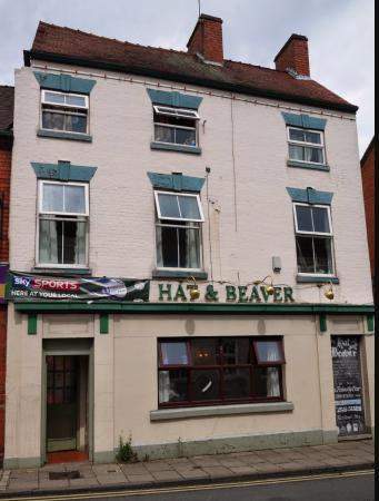 Hat & Beaver