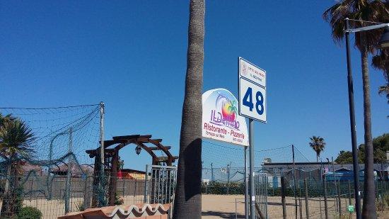 Il Delfino