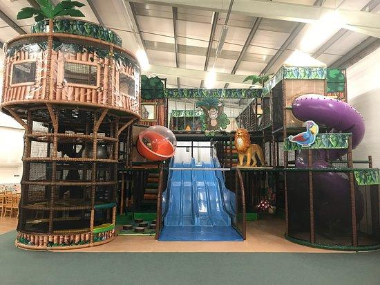 Jungle Kingdom