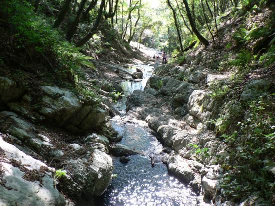 Trekking Holiday