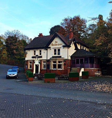 The Golden Lion