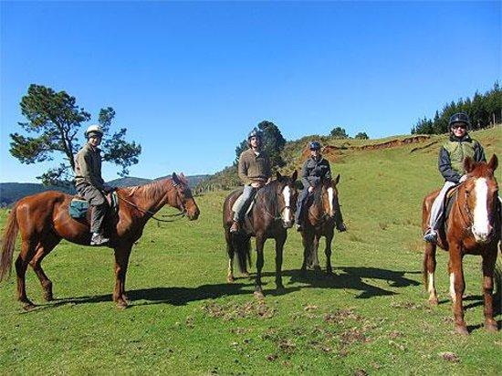 Horse Riding North Wales