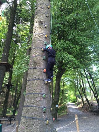 Ape Mann Adventure Park