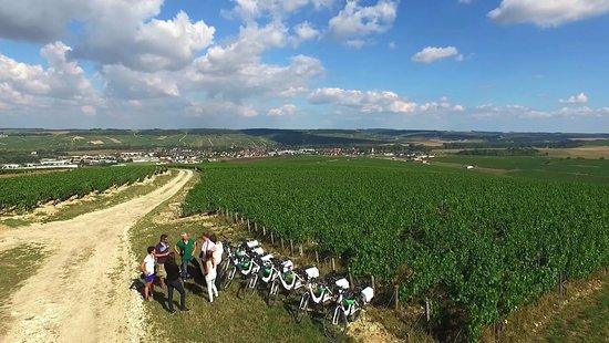 Le Vin Tout Simplement