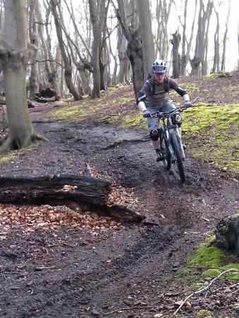 Epping Forest MTB