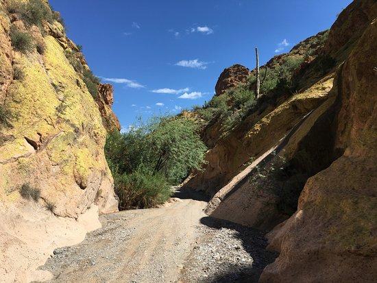 Arizona ATV Adventure Tours