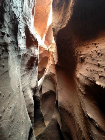 Indigo Day Hikes