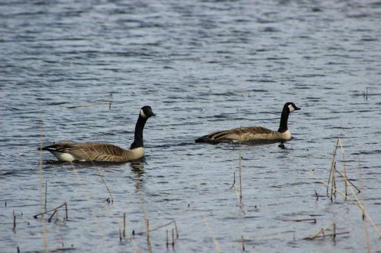 Carey Lake Recreation Area