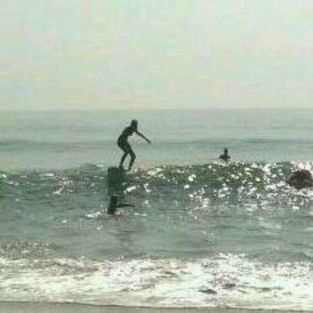 Palmetto Surf School
