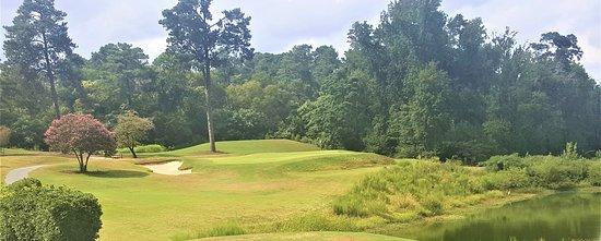 Forest Hills Golf Club