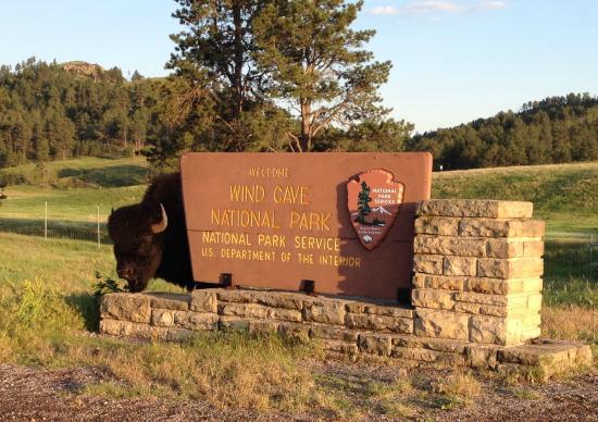 Bison Express Tours