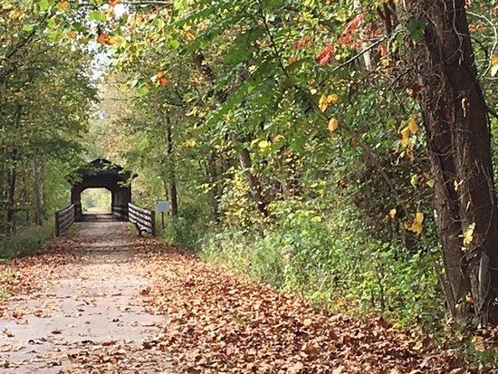 Mohican Valley Trail