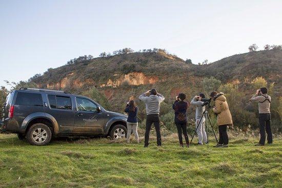 Wildroots Extremadura