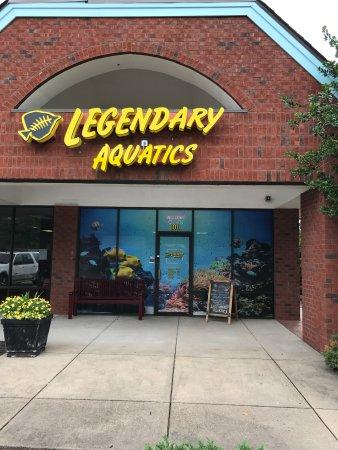 Legendary Aquatics