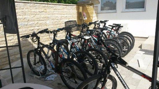 Borik Rent a Bike