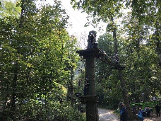 Kletterwald Thale