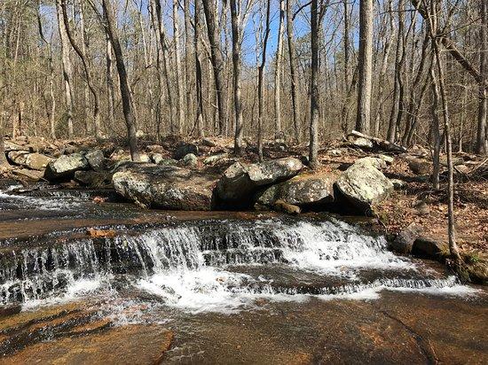 Collins Creek Cascade
