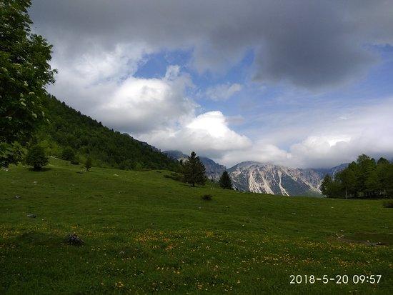 Sentiero dei Grandi Alberi