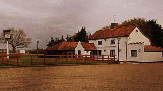 The Forge