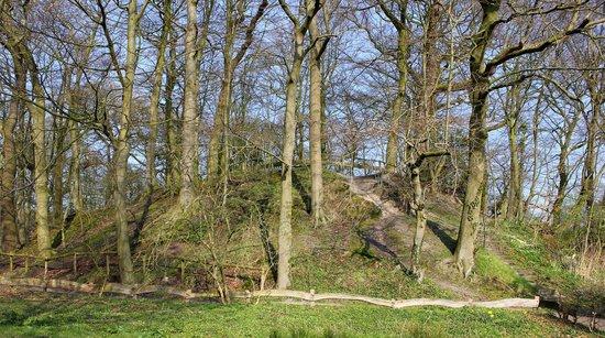 Elmendorfer Burg