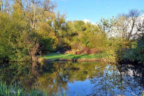 Site naturel du Moron