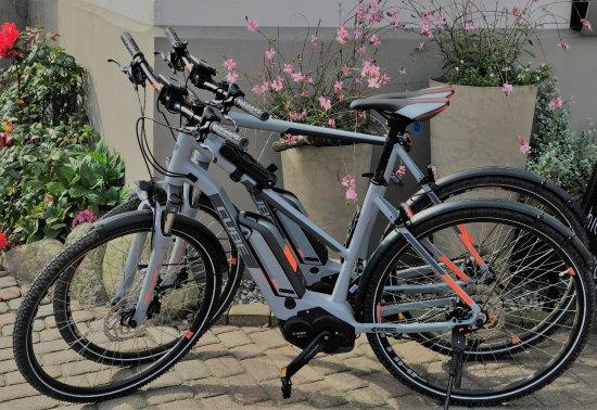 E-Bike & Fahrradverleih Plau am See