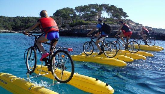 Catamaran Bikes