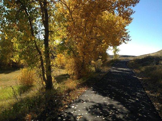 Roadrunner Trail