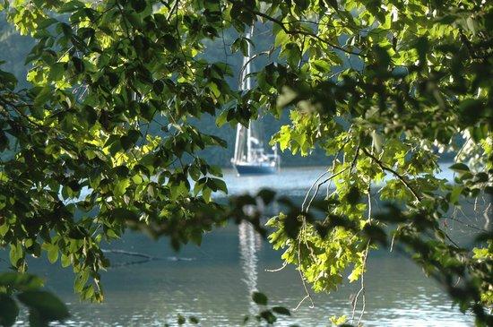 Chesapeake Bay Sailing Adventures