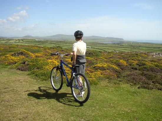 Llyn Cycle Hire