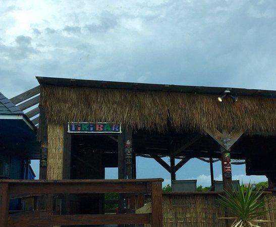 Fat Turtle Market & Tiki Bar
