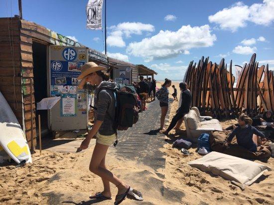 Koa Surf School