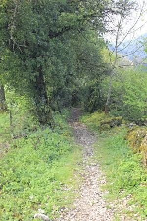 Via Ferrata du Mont