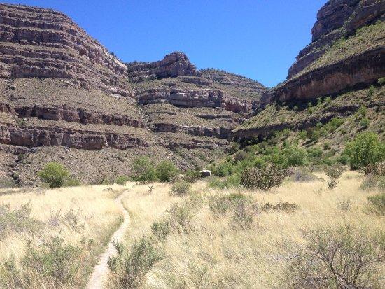 Dog Canyon Trail