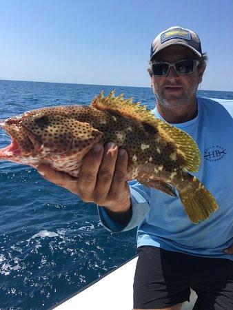 Charleston Inshore Charters
