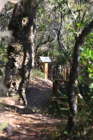 Sentier Botanique