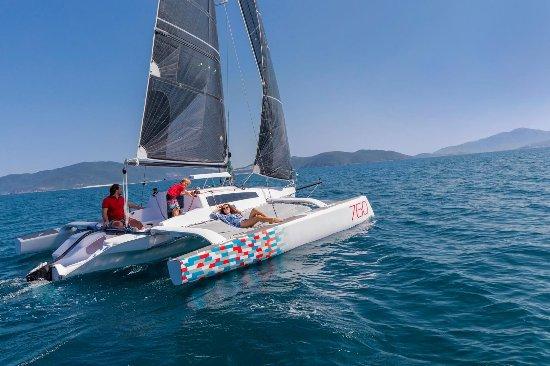 Trimaran Sailing