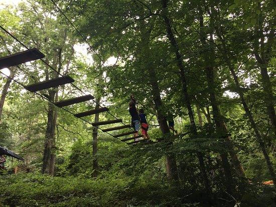 Parc Accrobranche
