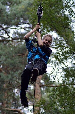 TreeTrek Wald Kletterpark